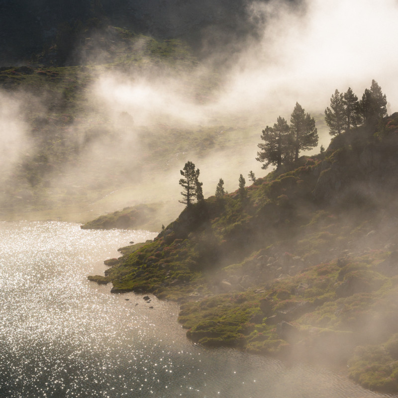 Volutes de brume aux abords du lac de Tracens Volutes de brume aux abords du lac de Tracens